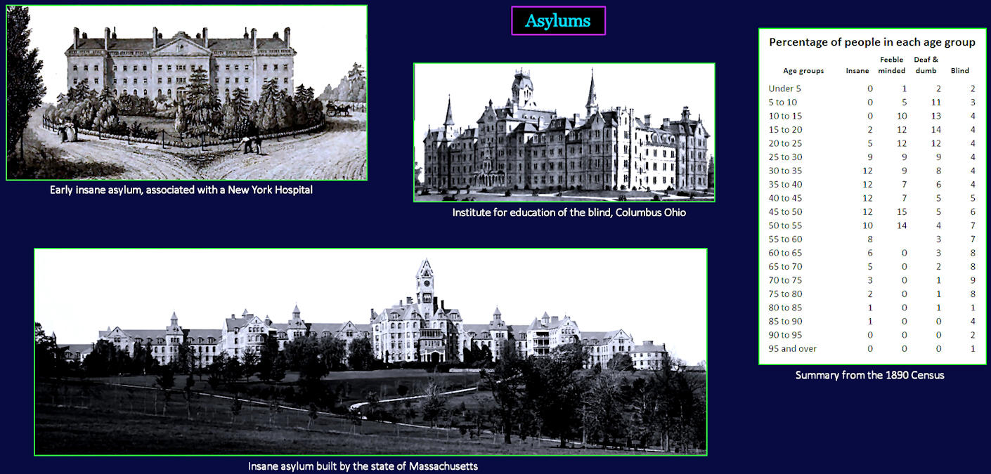 Asylums, 1890
